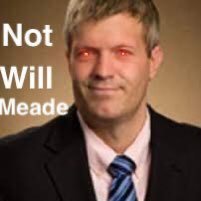 PARODY ACCOUNT - I AM NOT AFFILIATED WITH WILL MEADE. Here for the jokes. Not a financial advisor. In Atlas/Sapphire Discord servers. #GammaGang #MillyWilly