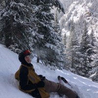 bullet bill (@_bhenke_) 's Twitter Profile