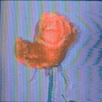 WINDMILL (@vapormill2) 's Twitter Profile