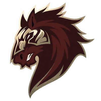 Official student-run twitter account of Devine High School Journalism. #devinepride