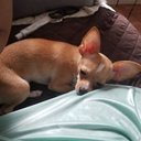 Migdalia Collazo - @Colla10Collazo - Twitter