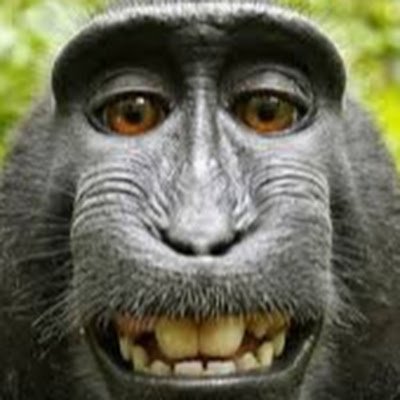 0fu1ZxDJgl5PRTC's profile picture. 