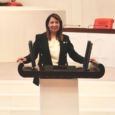 Prof.Dr.Emine Nur ÖZKAN GÜNAY🇹🇷