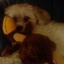 Isaac Willis - @POKELORD_SL4Y3R - Twitter