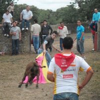 juanan (@juanan45) 's Twitter Profile