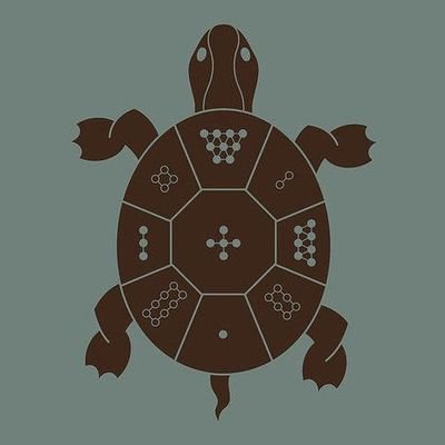 CommodityTurtle's profile picture. physical commodity trading house