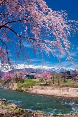 Meshaq42's profile picture. Crazy in a good way