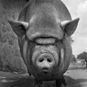 Brian Hutton - @iBrianHutton - Twitter