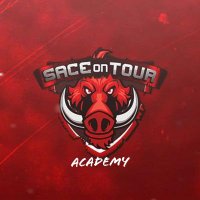 Sace On Tour Academy (@academy_sace) 's Twitter Profile