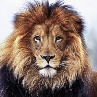 N🦁N🦁 (@itpqhtl3b0bvx1k) 's Twitter Profile