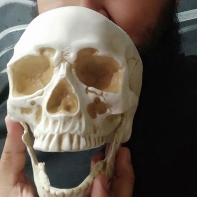 ElAlguacilNic79's profile picture. Deportes