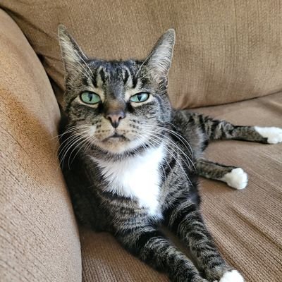 medohtw's profile picture. empty nester married to guitar shredder