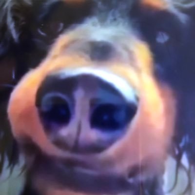 Triasic37's profile picture. J