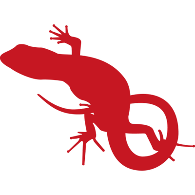 とかげ やもり Lizardtyan Twitter