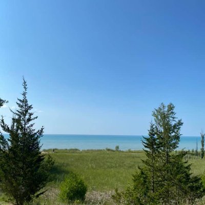 CusaGogu's profile picture. I am alive.