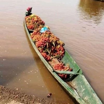 Somos campesinos de la zona sur de la Republica de Colombia, personas trabajadoras, humildes, con valores y principios. Sin Campesinos no hay Alimentos.