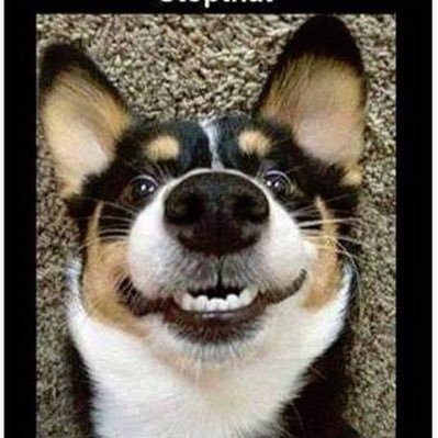 Dantesgrasp's profile picture. Good guy, nice and brief