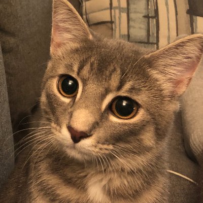 space_shitter's profile picture. 