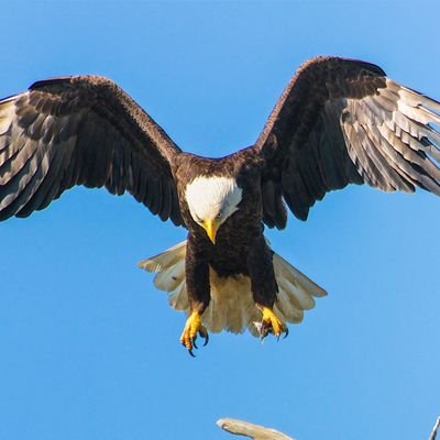 metintekinim's profile picture. Mühendis