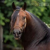 ArmandoBarragan (@armando82925519) 's Twitter Profile