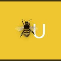 Bee Connected (@beeconnected1) 's Twitter Profile