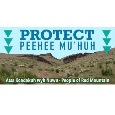 🦅People of Red Mountain - Paiute & Shoshone people from Fort McDermitt Tribe against Thacker Pass Lithium Mine, Nevada ✉️peopleofredmountain@gmail.com