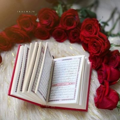 ارسل مواصفاتك وطلبك على الواتس أب يرجاء اتباع الرابط 👇 https://t.co/fYgfD9U3HZ