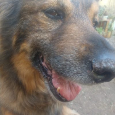 Unslaad krosis.
❤ Math, Skyrim, 🐈,🐕
Ph.D. in Mathematics, decades ago.