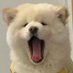 yyhh898 (@yyhh12113) Twitter profile photo yyhh898 (@yyhh12113) Twitter profile photo