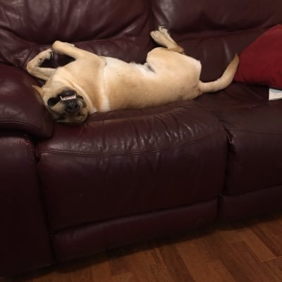 petewall41's profile picture. London taxi driver green badge