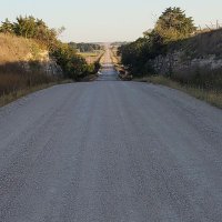 S L R (@gp_htr) 's Twitter Profile