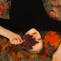 Where the Leaves Fall Purple (@wtlfp_podcast) Twitter profile photo