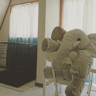 沖縄県南風原町で爬虫類取り扱います。
通常は、前日までの来店予約制。ゆるーくやってます。爬虫類や奇蟲以外もたくさんつぶやきます。 ペットホテルは「ペットホテルとんがり」という名前でやってます。動販・保管・第1196号 お問い合わせはDMにて