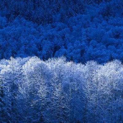 syproall's profile picture. hi