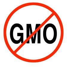 AgmofreeKenya's profile picture. We are non-violent activists against the introduction and use of GMO / GMFproducts in Kenya. Our citizens are not guinea pigs. We have the right of choice !