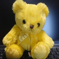 P!stach!o(sleep) (@stach_o) 's Twitter Profile
