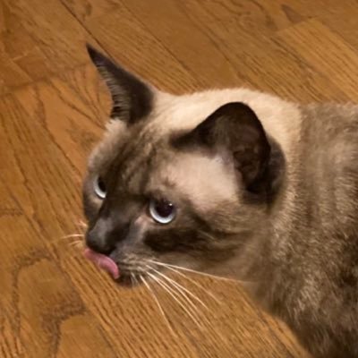 3ne5_desu's profile picture. 