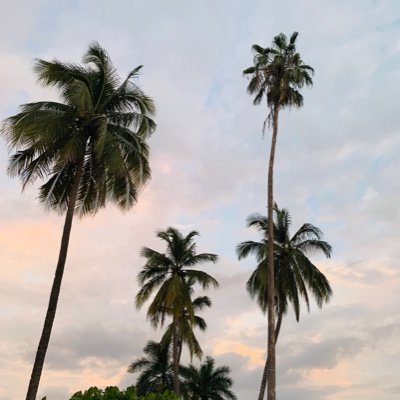 Licenciado en Derecho por la Universidad Multitécnica Profesional. Honesto. Auténtico. Disciplina. Humildad. Familia. Leer, Correr, Vajar, y sobre todo vivir :)