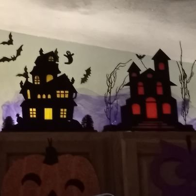 donna_ohandley's profile picture. 