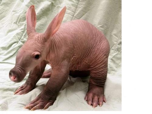 mikeklick1's profile picture. live and breathe Royals-and Chiefs-and golf and the blues