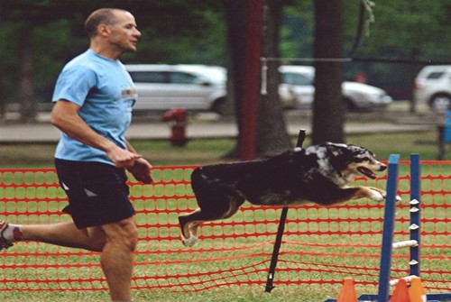 Ultra big Northwestern University Wildcat alumnus/follower, endurance athletic junkie, and dog agility handler.  Always willing to try a new micro/nano brew.