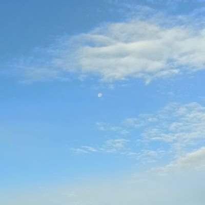 ⚡さんのプロフィール画像