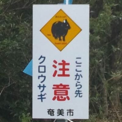 奄美大島、中孝介の唄 、八月踊り(祝付け)が好き。views are my own.
医療従事者の皆さまに感謝。
