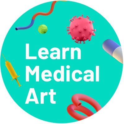 🧠 Tuts & resources for #medicalillustration 📺 Subscribe to our YouTube 💌 hello@learnmedical.art