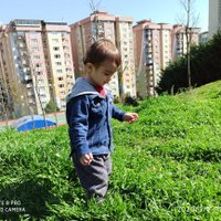 efe otuz (@otuzefe) 's Twitter Profile
