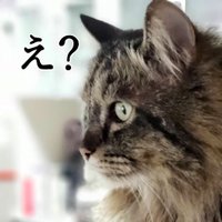 リリロー(@Ririokok) 's Twitter Profile Photo