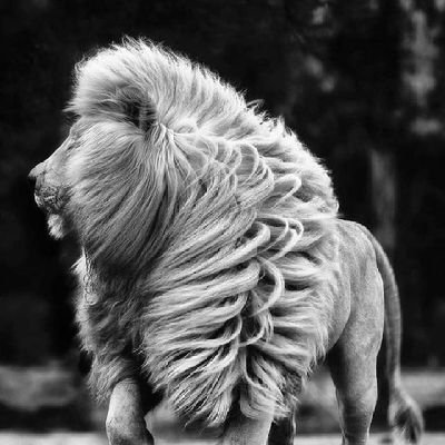 gost__7393's profile picture. 