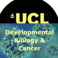 Developmental Biology & Cancer(@DBC_ICH) 's Twitter Profile Photo