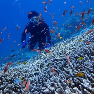DIVE INTO CODE 2021年11月期生|30代|ITエンジニア転職を夢見てプログラミング学習中 |日々の学習内容をツイート|