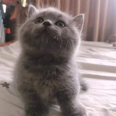 Huy62813874's profile picture. 